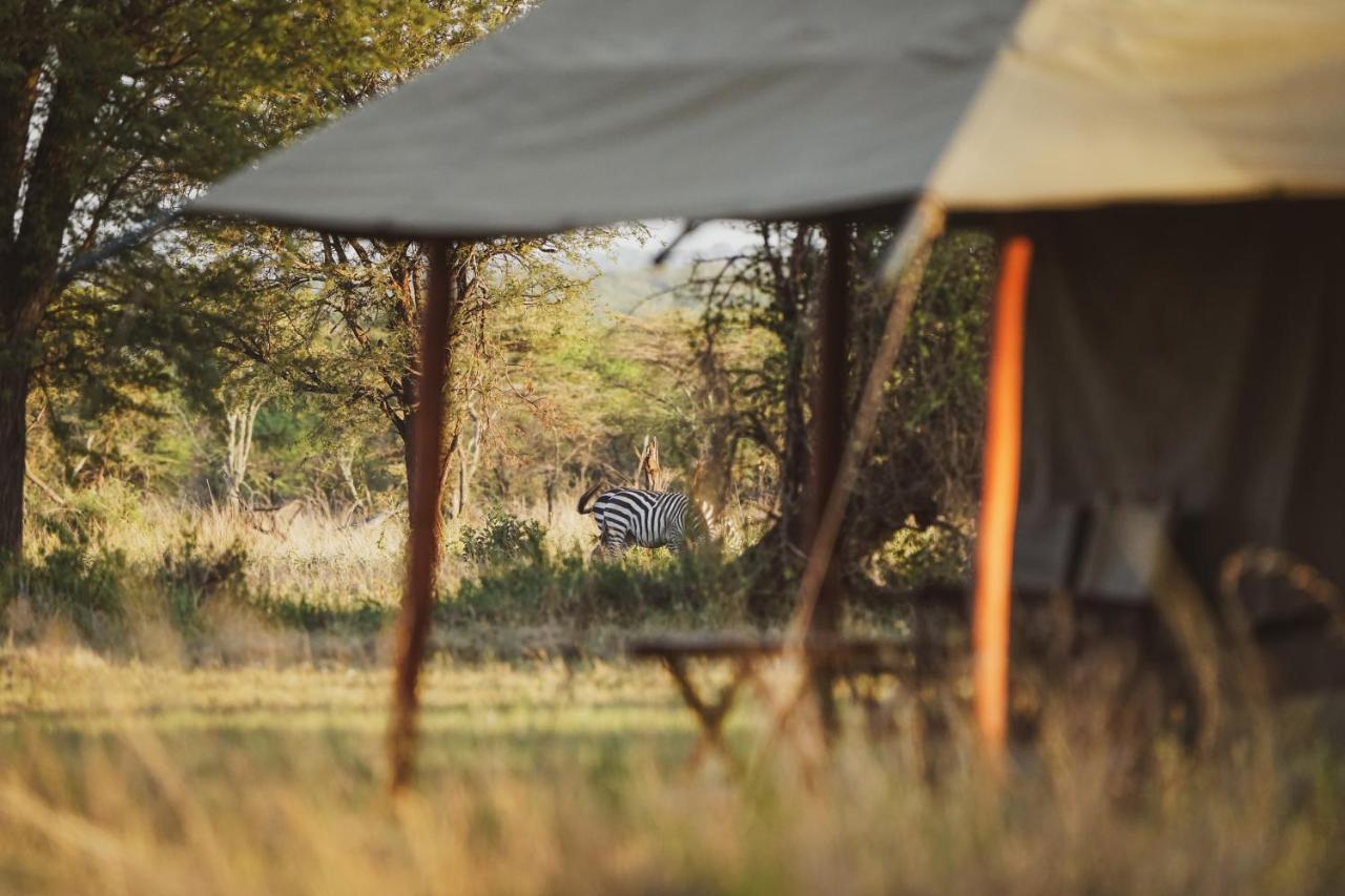 Zawadi Camp Hotel Serengeti Ngoại thất bức ảnh