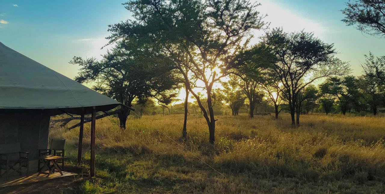 Zawadi Camp Hotel Serengeti Ngoại thất bức ảnh