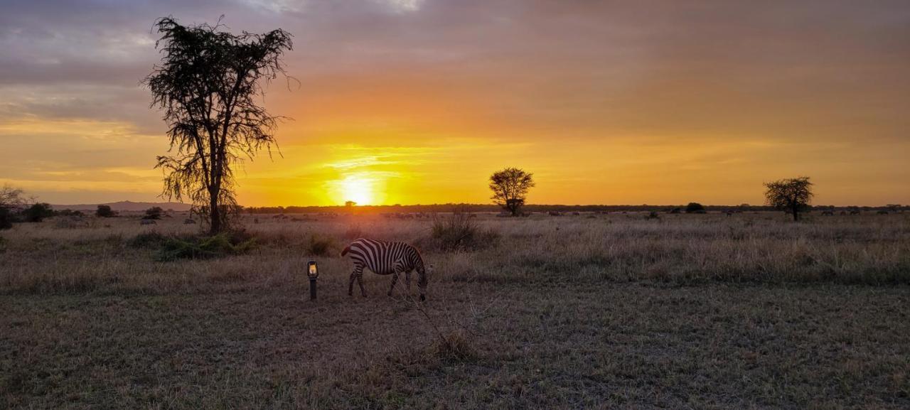 Zawadi Camp Hotel Serengeti Ngoại thất bức ảnh
