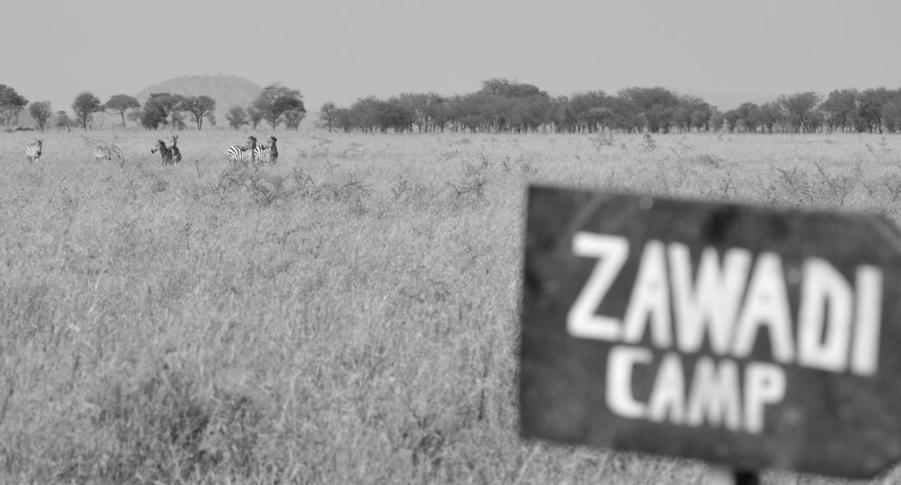 Zawadi Camp Hotel Serengeti Ngoại thất bức ảnh
