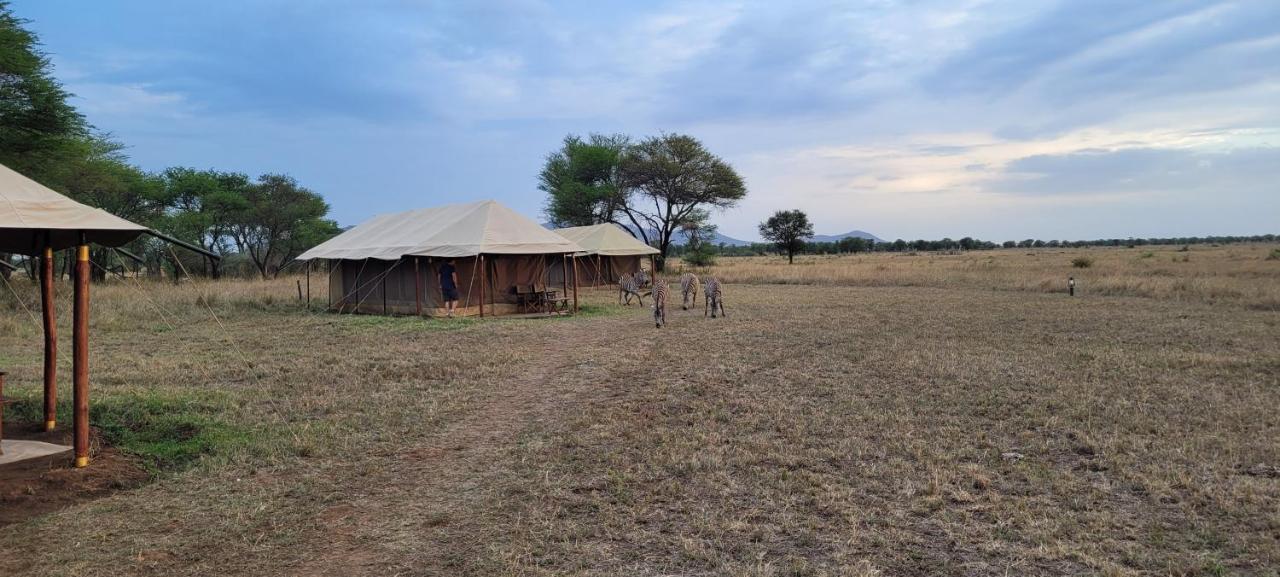Zawadi Camp Hotel Serengeti Ngoại thất bức ảnh