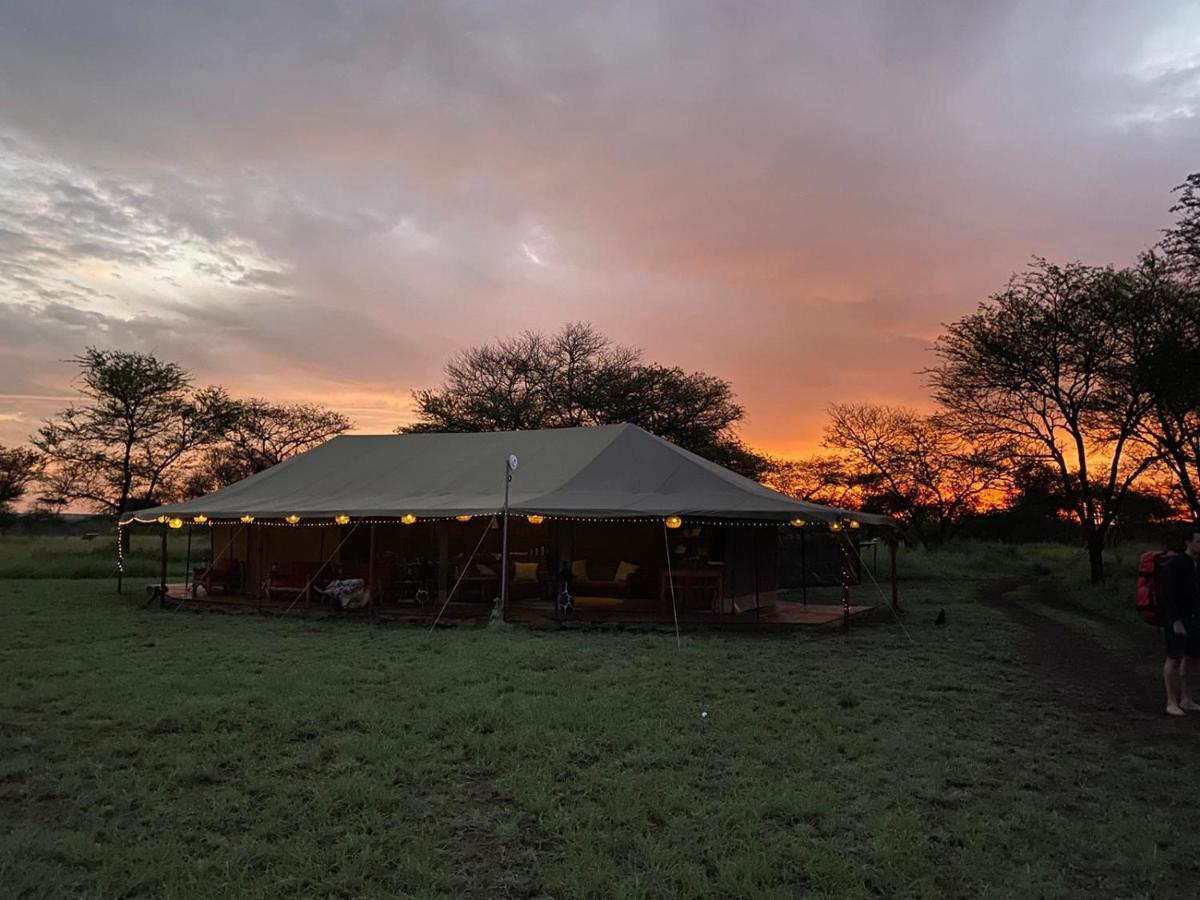 Zawadi Camp Hotel Serengeti Ngoại thất bức ảnh